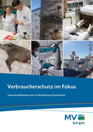 Titelseite der Publikation Verbraucherschutz im Fokus - Schwerpunkthemen 2021