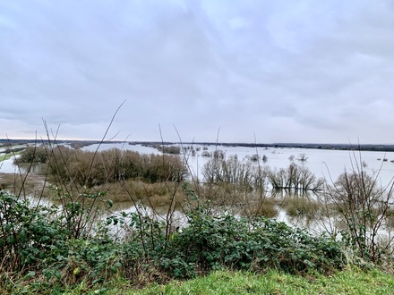 Hochwasser an der Elbe 2024