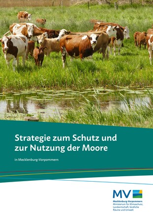 Moorschutzstrategie MV