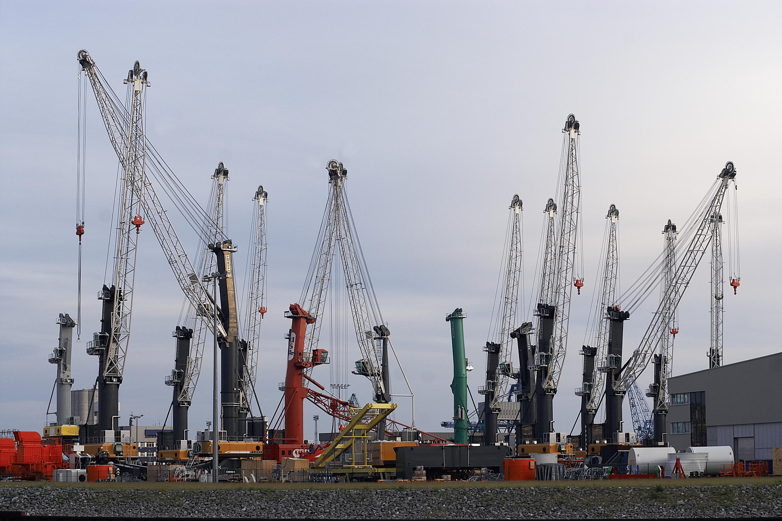 Blick auf viele Kräne an der Kaikante des Liebherr-Werkes am Rostocker Seehafen