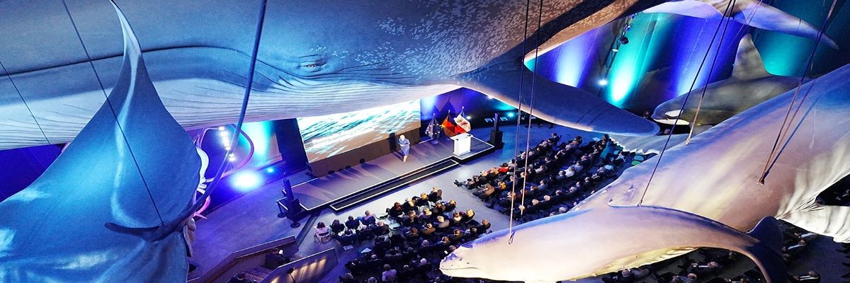 Blick von oben, auf der Höhe der Wal-Modelle im Ozeaneum, hinunter zur Bühne mit Ministerpräsidentin Manuela Schwesig und ihrem Publikum.